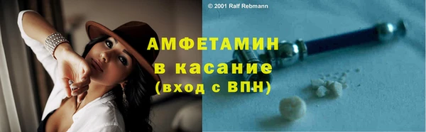 стаф Аркадак