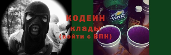 стаф Аркадак
