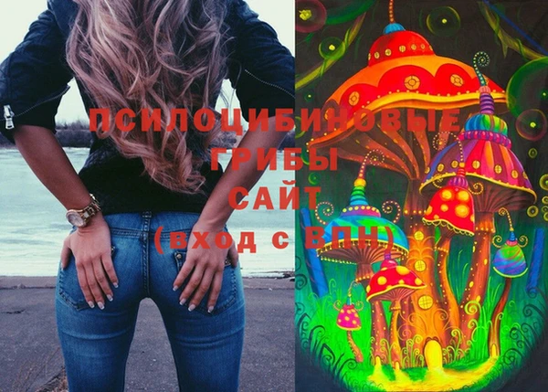 стаф Аркадак
