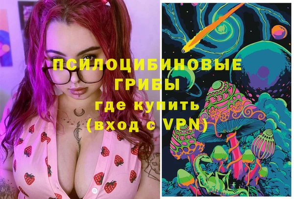 стаф Аркадак