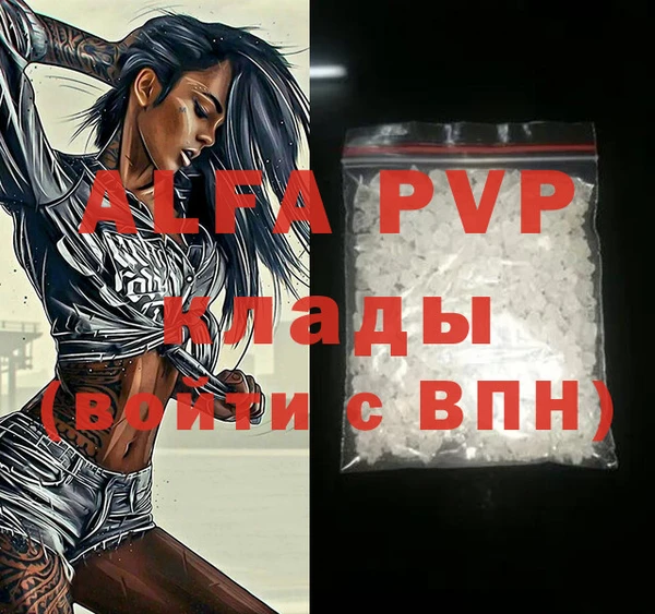 стаф Аркадак
