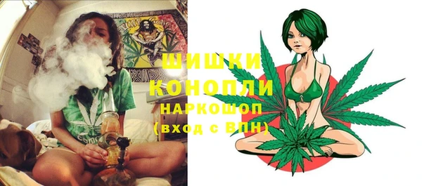 стаф Аркадак