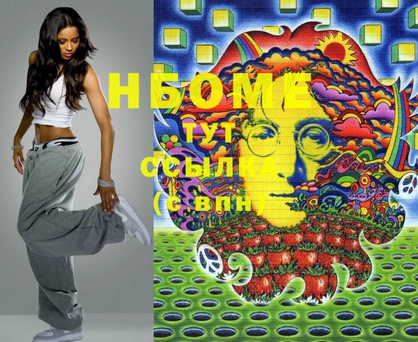 стаф Аркадак